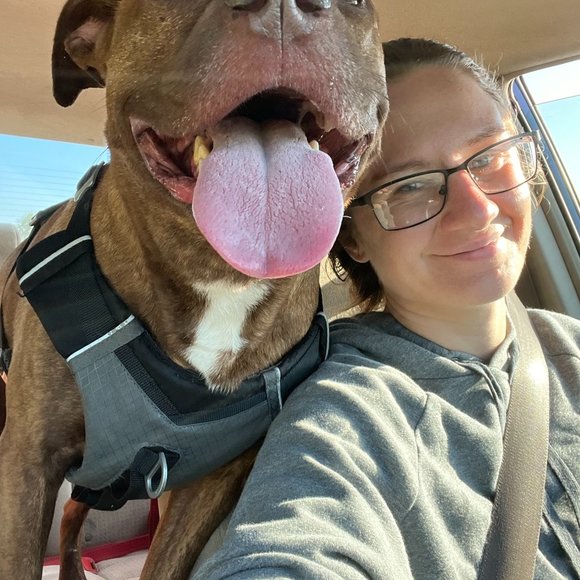 Meet your Posher, Mac - Picture 5 of 5